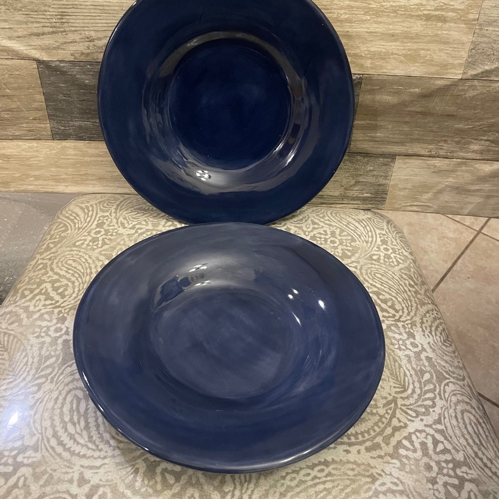 Pottery Barn Sausalito Navy Blue Dinner Plates Set of 2 Stoneware 10 Inch